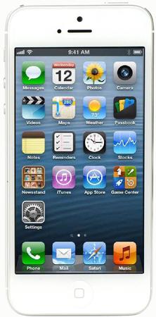 Смартфон Apple iPhone 5 64Gb White & Silver - Боровичи
