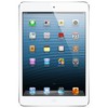 Apple iPad mini 16Gb Wi-Fi + Cellular белый - Боровичи