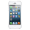 Apple iPhone 5 16Gb white - Боровичи